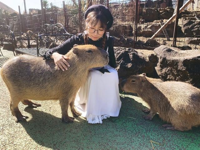 伊豆古兰帕鲁公园