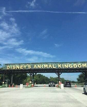 迪士尼动物王国旅游景点攻略图