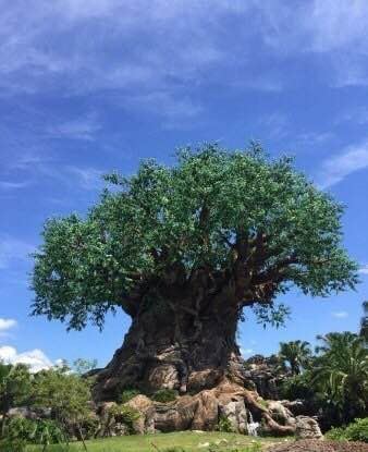 迪士尼动物王国