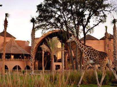 迪士尼动物王国