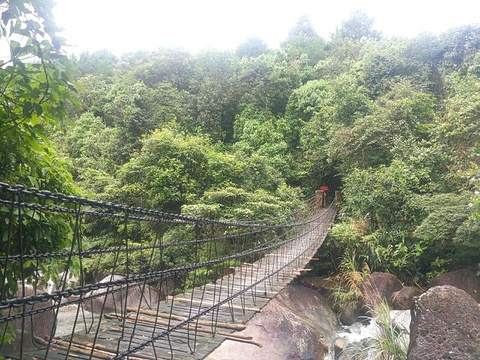 东兴屏峰雨林公园旅游景点攻略图