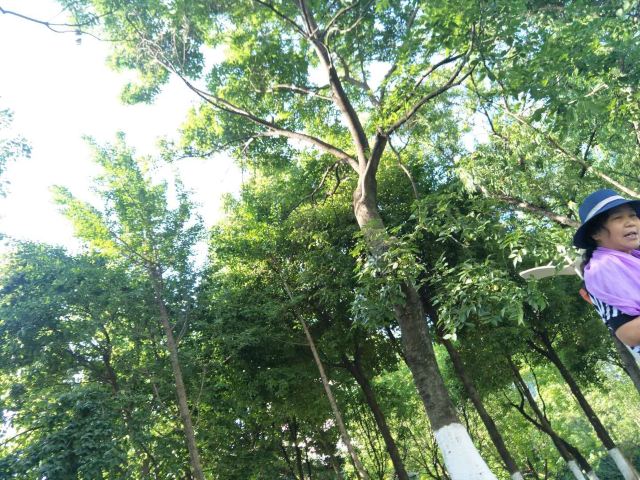 壶瓶山国家级自然保护区