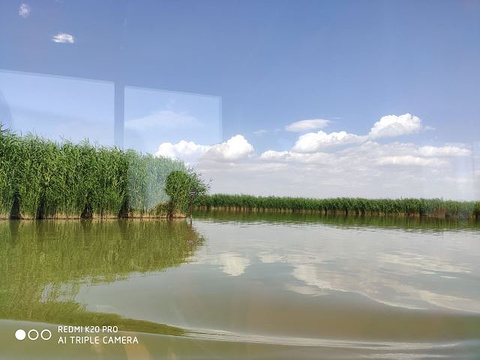 银川鸣翠湖国家湿地公园旅游景点图片
