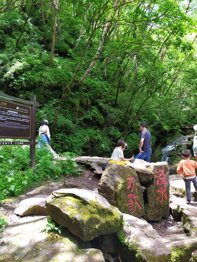 六盘山国家森林公园