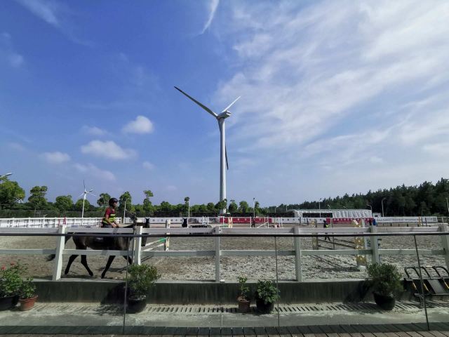 上海滨海森林公园