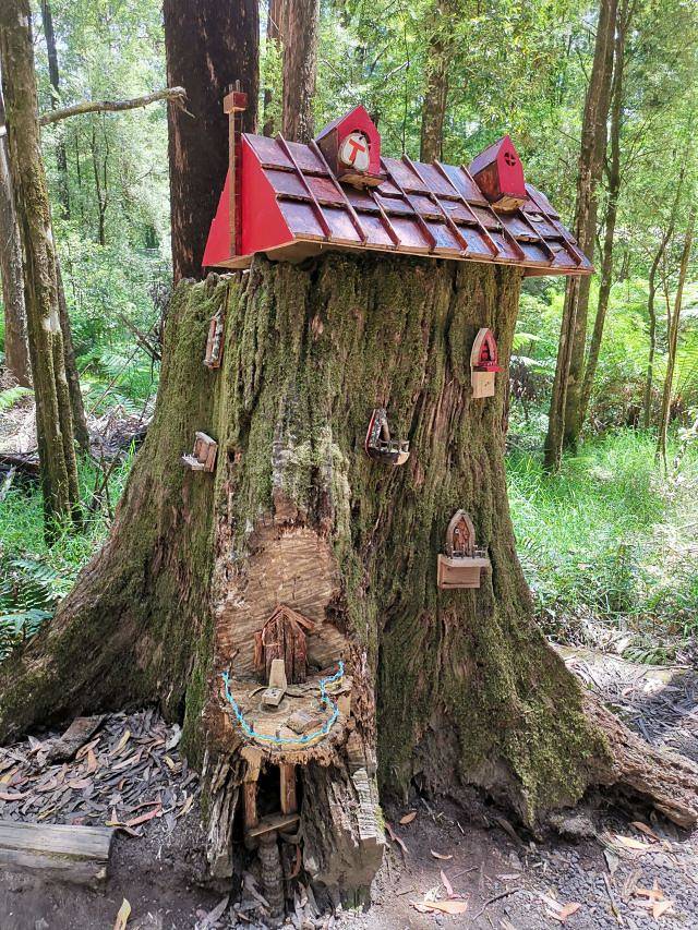 奥特韦树顶漫步