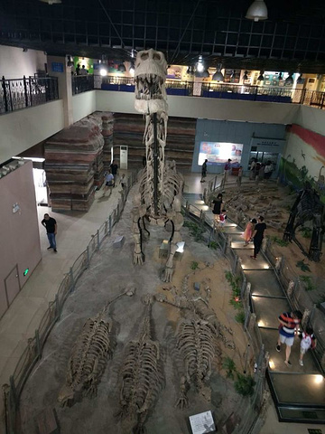 "_河北地质大学地球科学博物馆"的评论图片