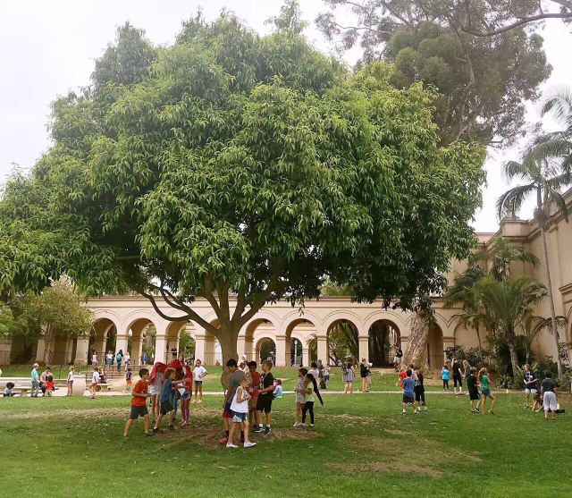 圣迭戈自然历史博物馆