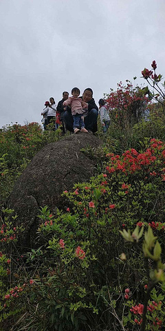 "_大围山国家森林公园"的评论图片