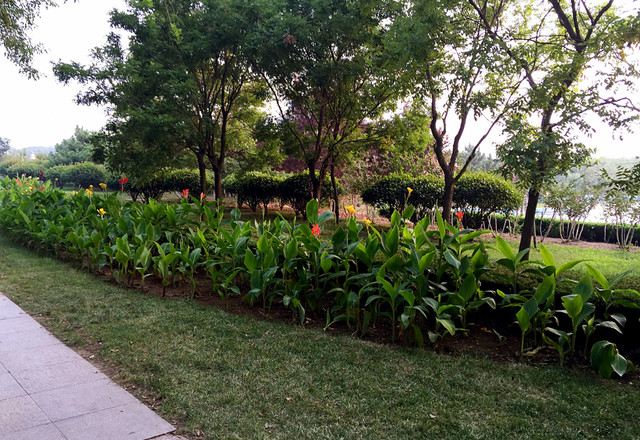 日照奥林匹克水上运动公园