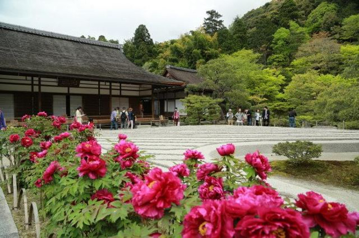 "南禅寺位于京都左京区，除了本身从三门、方丈、水路阁到南禅院都有非常美丽的红叶,&#x20_南禅寺"的评论图片