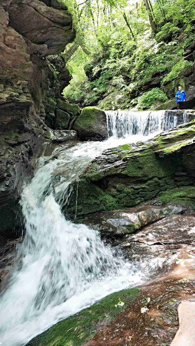 六盘山国家森林公园