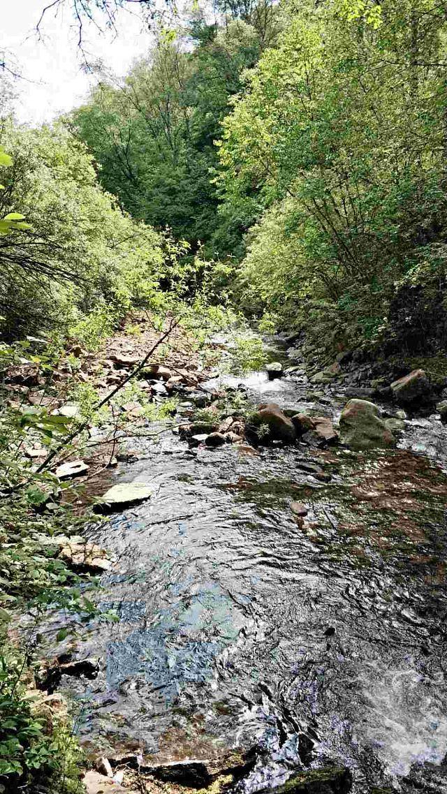 六盘山国家森林公园