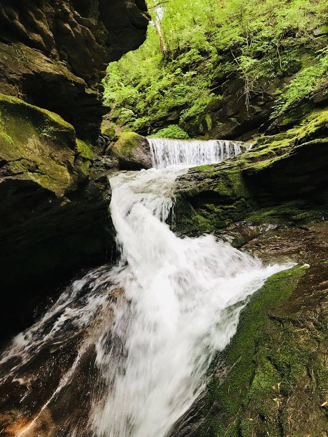 六盘山国家森林公园