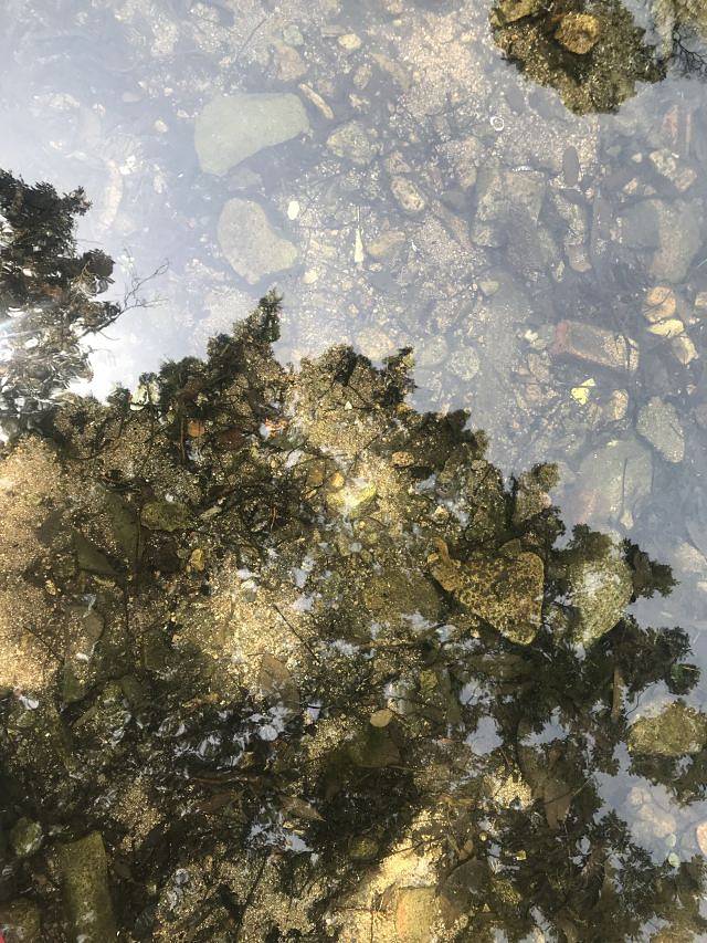 淄博王母池景区