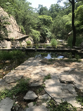 淄博王母池景区的图片