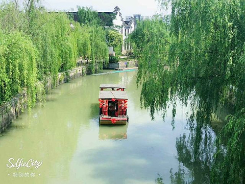 梅花洲旅游景点攻略图