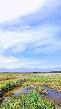 野鸭湖国家湿地公园旅游景点攻略图