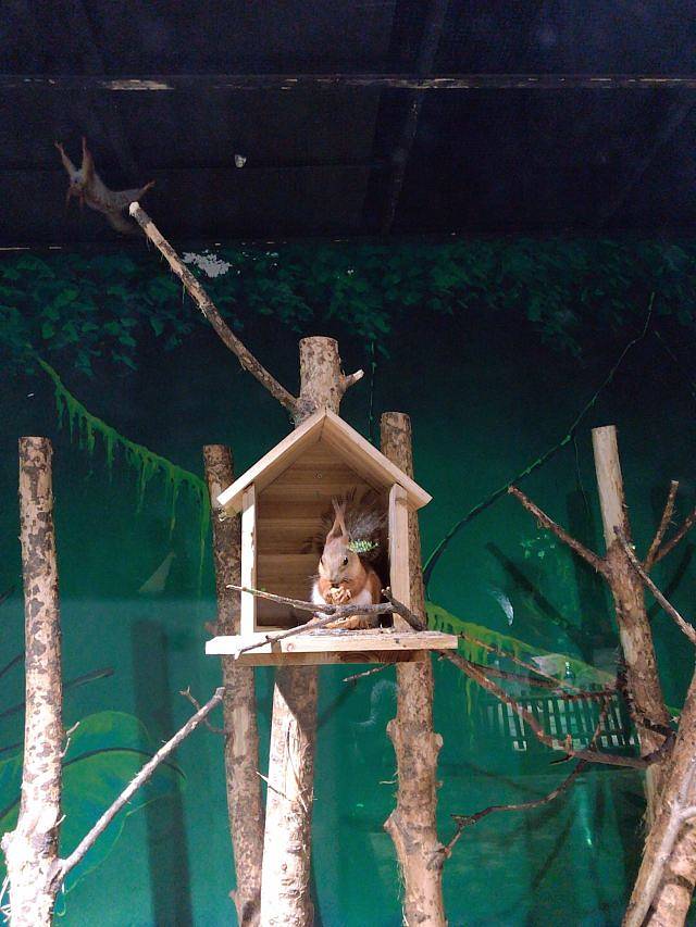 马塔塔动物王国