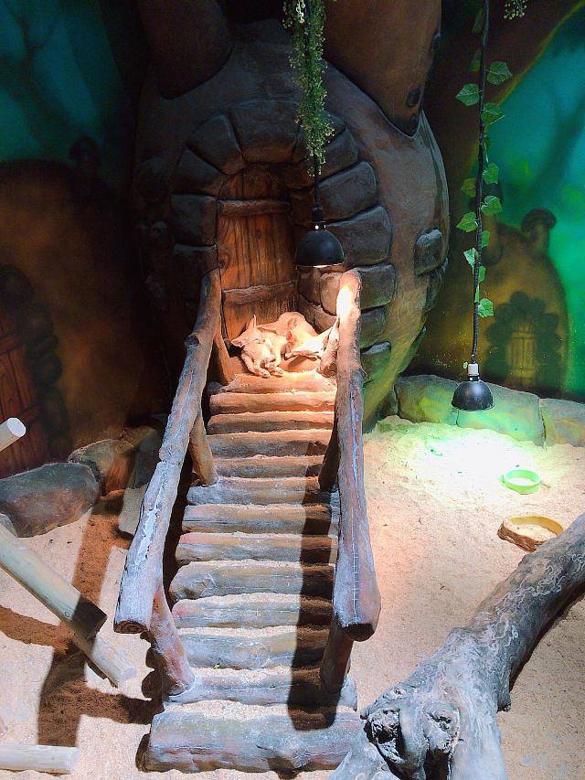 马塔塔动物王国