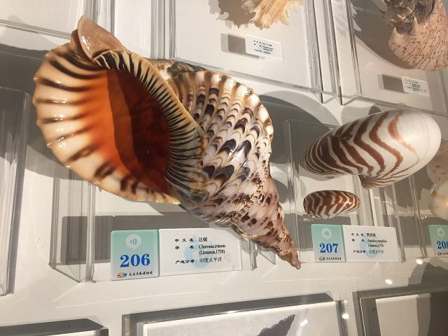 "外观非常漂亮，螺旋式上升的博物馆，共五层，就在星海广场边上，一两个小时可以转完，多种多样的贝壳..._大连贝壳博物馆"的评论图片