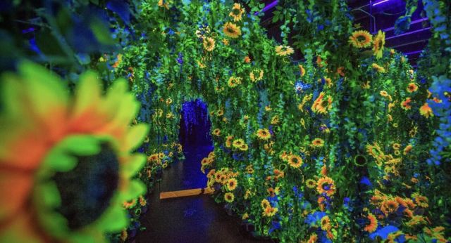 阿提哈德博物馆