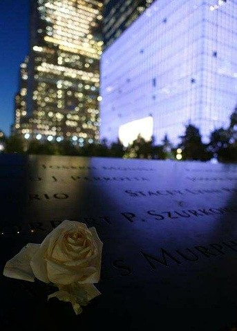 "撞击产生的两个洞吞噬了很多生命，我非常伤感。11纪念馆时为了悼念那些在此次事故中死去的人_9/11纪念馆"的评论图片