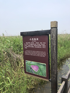 杭州湾国家湿地公园旅游景点攻略图