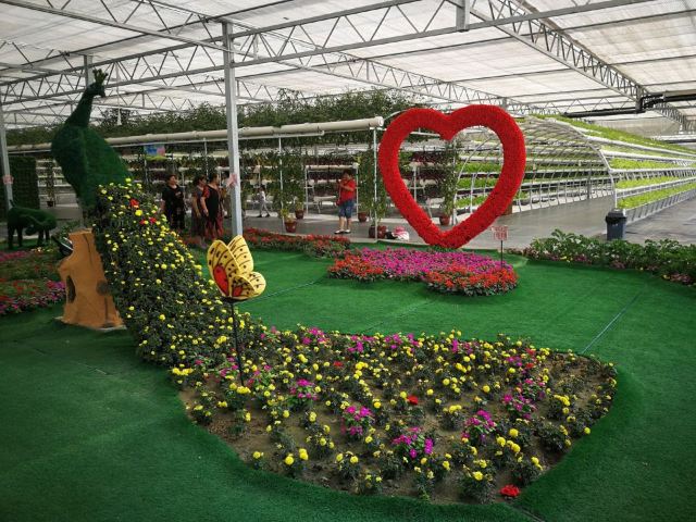 兴芮温泉度假区