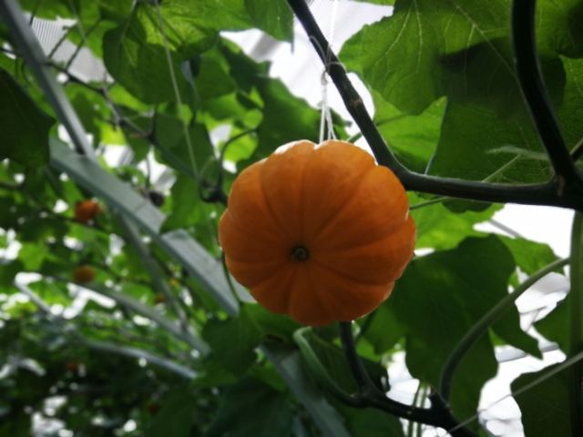 兴芮温泉度假区