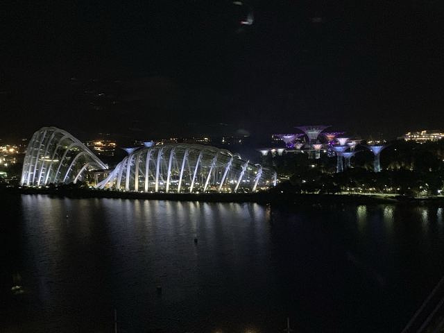 "_新加坡摩天观景轮"的评论图片