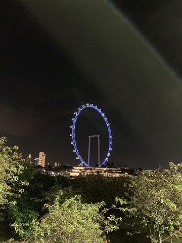 "_新加坡摩天观景轮"的评论图片
