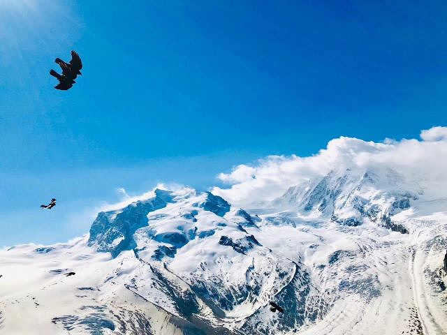 "马特宏峰号称欧洲群山之王，在马特洪峰的gornergrat360度观景台上，可以从海拔3089..._马特宏峰"的评论图片