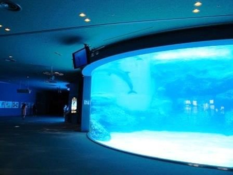 冲绳美丽海水族馆旅游景点攻略图