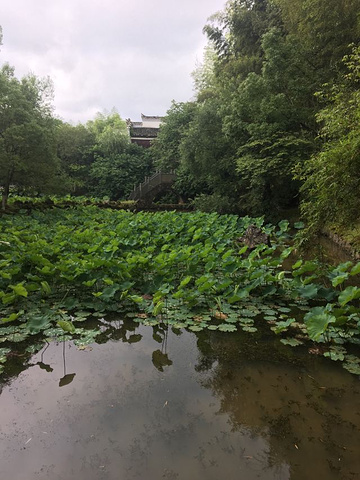 "_景德镇古窑民俗博览区"的评论图片