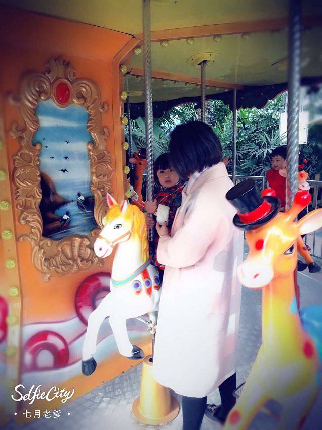 天津热带植物观光园