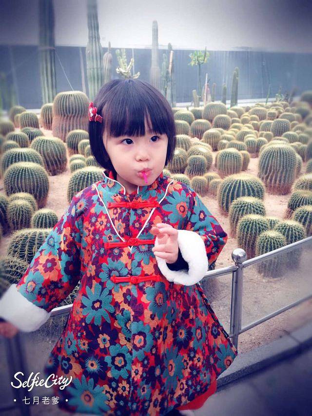 天津热带植物观光园