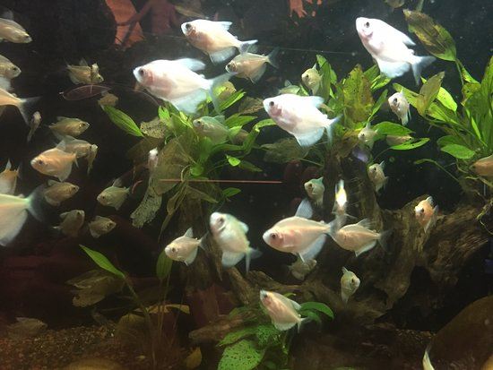 芭堤雅海底世界