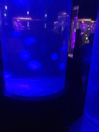 芭堤雅海底世界