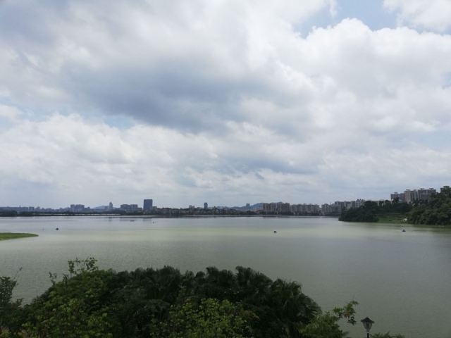 "肇庆最美的就是他有一个又一个的湖泊，而一个又一个的湖泊组成了很多的湿地公园，星湖湿地公园就是其中一个_星湖湿地公园"的评论图片