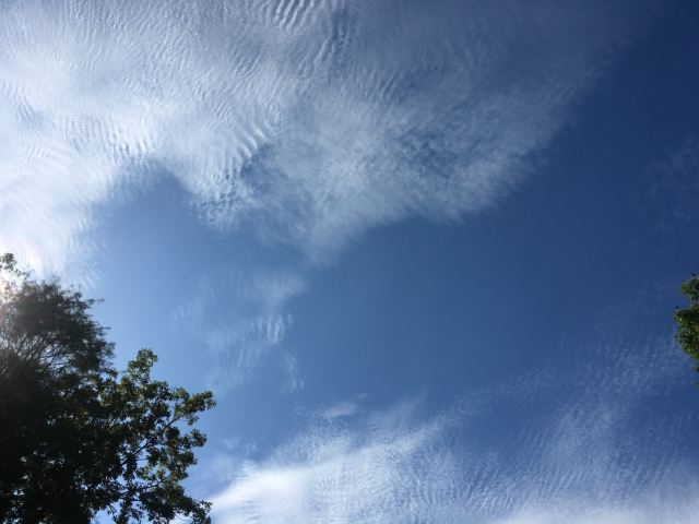 金孔雀温泉旅游度假村