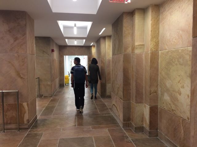 哈佛自然历史博物馆