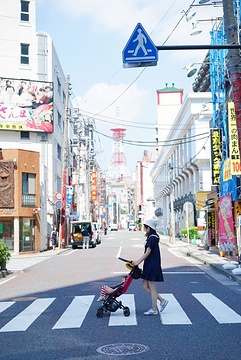 黄金海岸海洋世界旅游景点攻略图