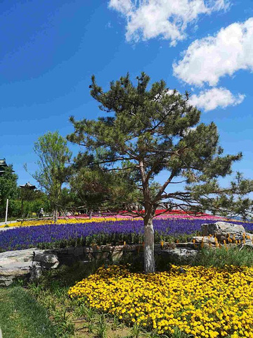 "园内景色美得很，园区也很大，各个展馆之间布局合理，去过的人都说好_甘肃园(北京世界园艺博览会)"的评论图片