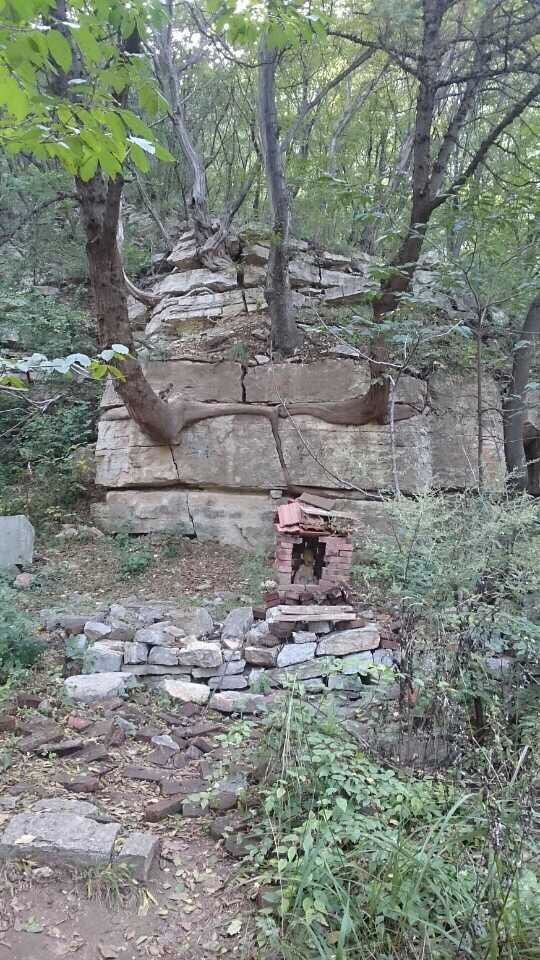 仰天山国家森林公园