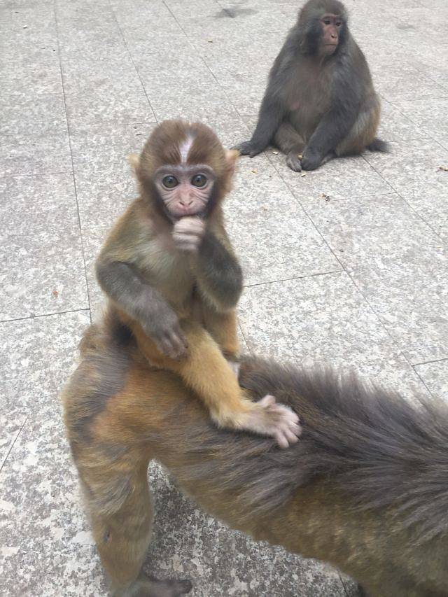 南召大宝天曼度假区