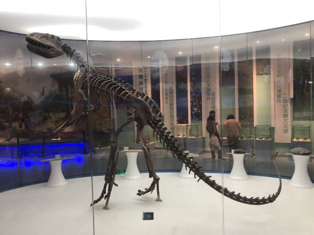 金钉子远古世界景区