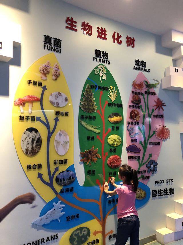 金钉子远古世界景区