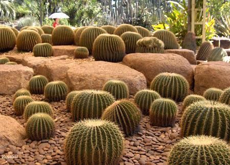 伊豆古兰帕鲁公园