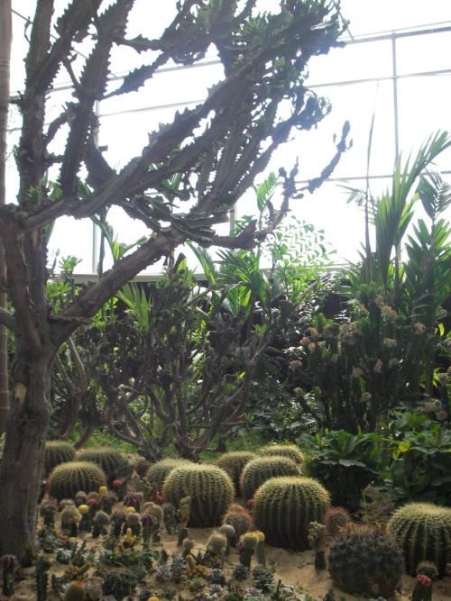 伊豆古兰帕鲁公园